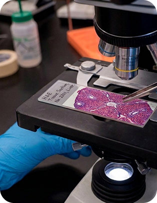 Prepared Stains & Reagents