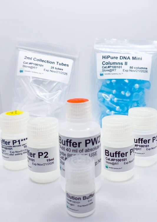 Molecular Biology